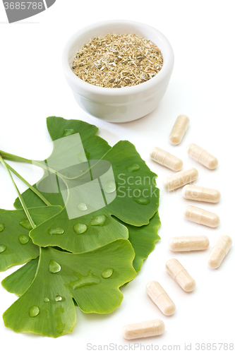 Image of Ginkgo capsules and dried ginkgo