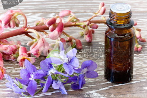Image of Bach flower remedies of red chestnut and violets