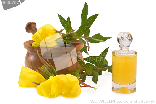 Image of Evening primrose bath