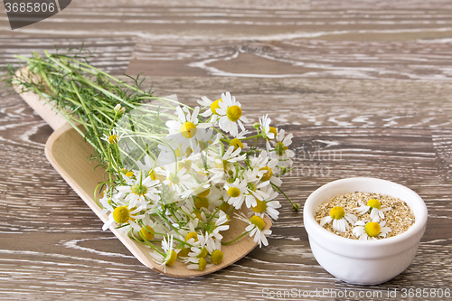 Image of Chamomile on a scoop