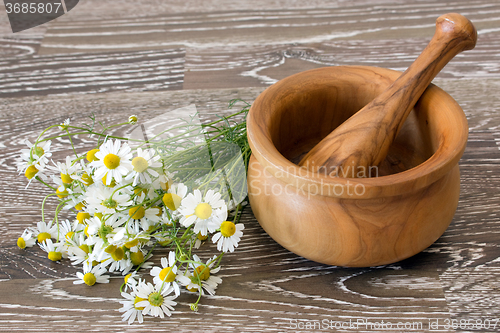 Image of Medical chamomile