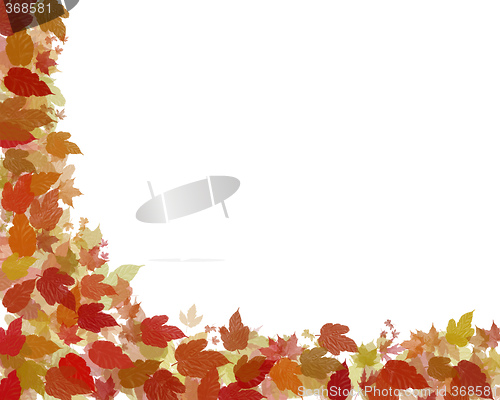 Image of autumn leaves