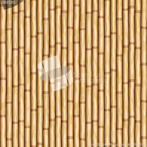 Image of bamboo wall