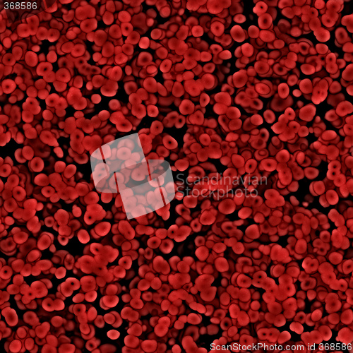 Image of blood cells