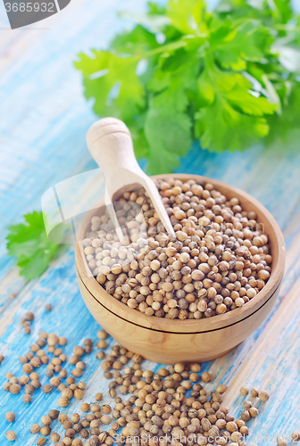 Image of coriander