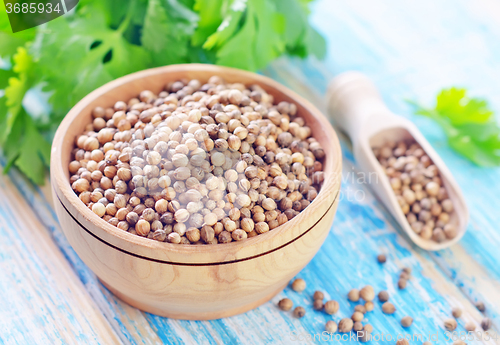 Image of coriander