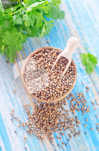 Image of coriander