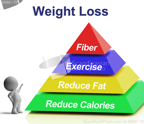 Image of Weight Loss Pyramid Showing Fiber Exercise Fat And Reducing Calo