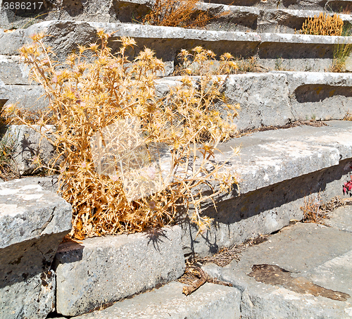 Image of the old  temple and theatre in termessos antalya turkey asia sky