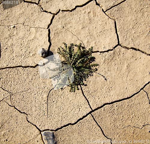 Image of brown dry sand in sahara desert morocco africa erosion and abstr