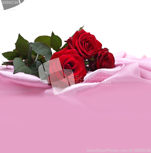 Image of red roses on silk