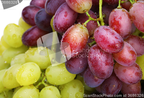 Image of fresh green and rose grapes