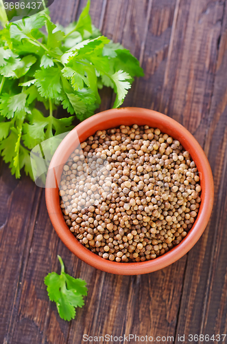 Image of coriander