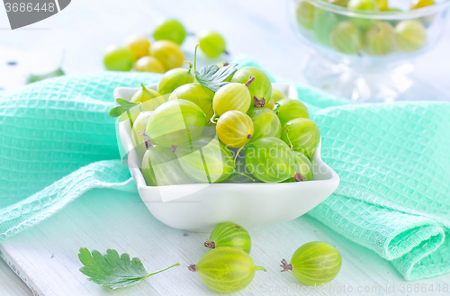 Image of gooseberry