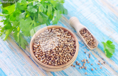 Image of coriander