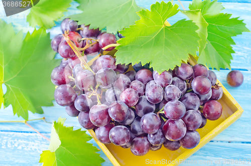 Image of grape