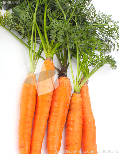 Image of carrots with green leaves on white