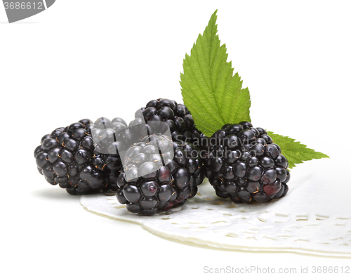 Image of Fresh blackberry with leaf 