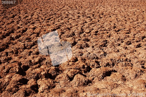 Image of hot desert in the sun