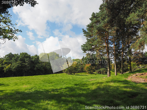 Image of View of Tanworth in Arden
