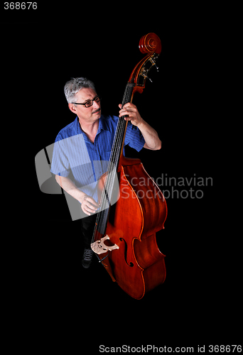 Image of Bass player