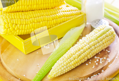 Image of boiled corn with salt