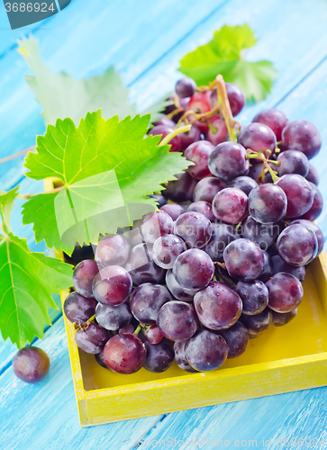 Image of grape