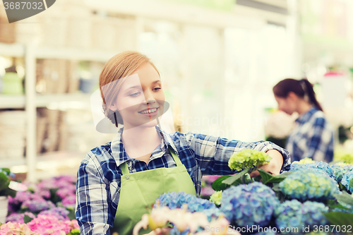 Image of happy woman taking care of flowers in greenhouse