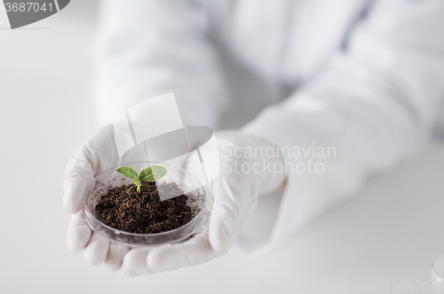 Image of close up of scientist hands with plant and soil