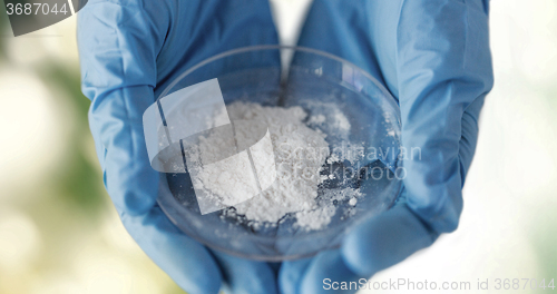 Image of close up of scientist hands holding petri dish