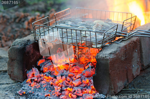 Image of Chicken meat baked in the fire on the grill grate