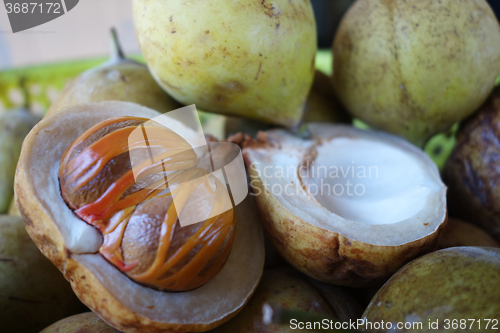 Image of Colorful photo of Nutmeg fruit