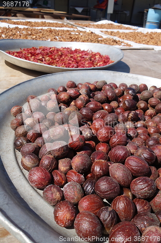 Image of Dried nutmeg seeds