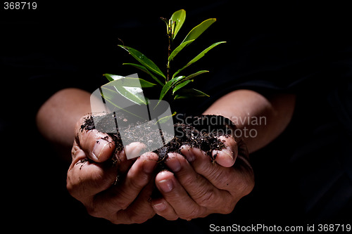 Image of New life