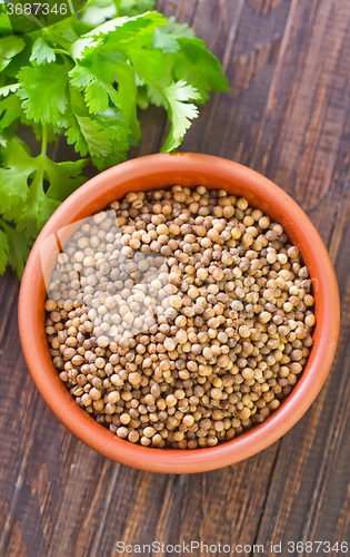 Image of coriander