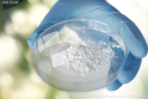 Image of close up of scientist hands holding petri dish