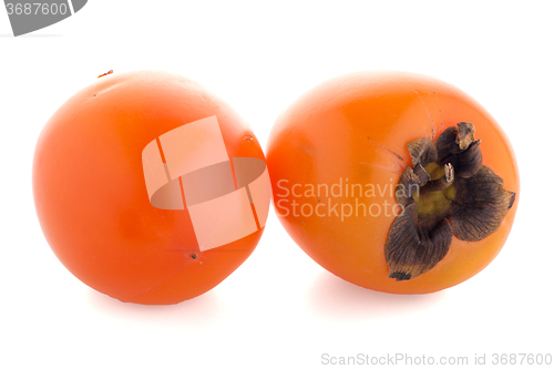 Image of Persimmon fruits