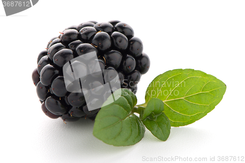 Image of Blackberries with leaves