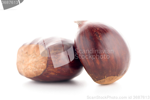 Image of Chestnuts with shell 