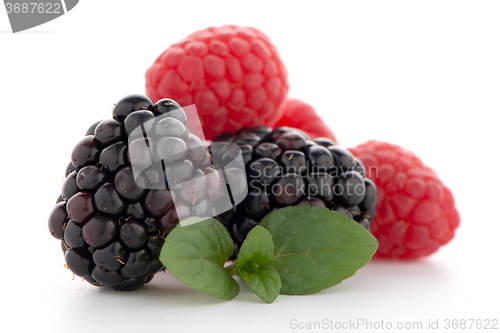 Image of Raspberry with blackberry 