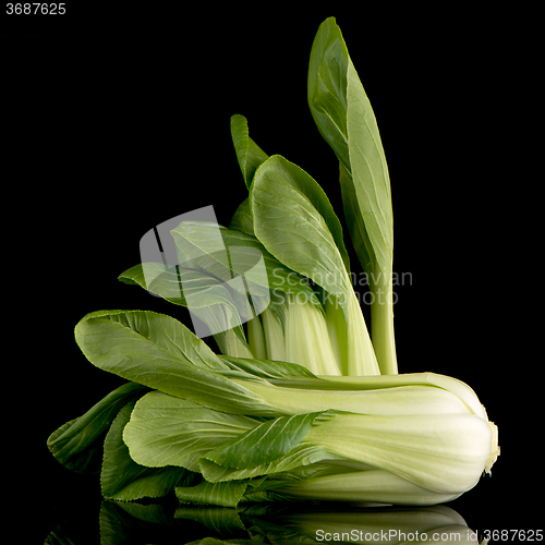 Image of Pak choi on black 