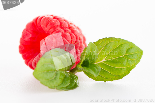 Image of Raspberries with leaves