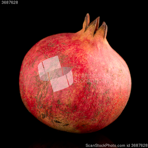 Image of ripe pomegranate fruit