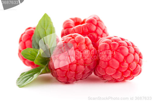 Image of Raspberries with leaves