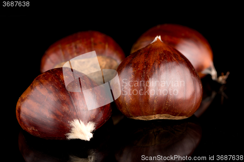 Image of Chestnuts on a black reflective background
