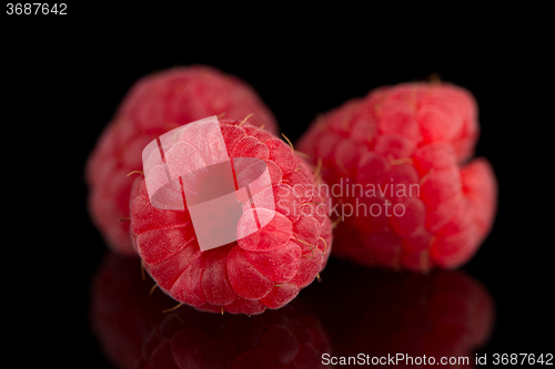 Image of Raspberries with leaves