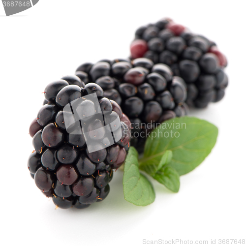 Image of Blackberries with leaves