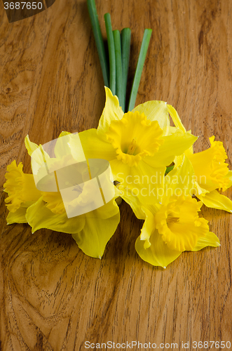 Image of Jonquil flowers