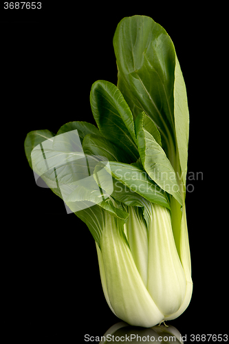 Image of Pak choi on black 