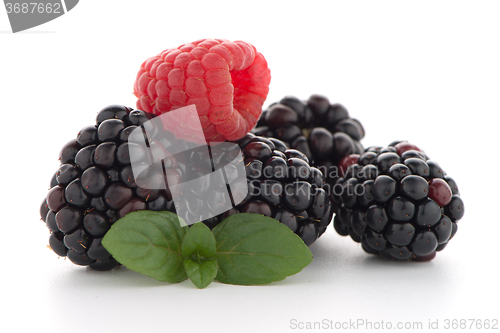 Image of Raspberry with blackberry 